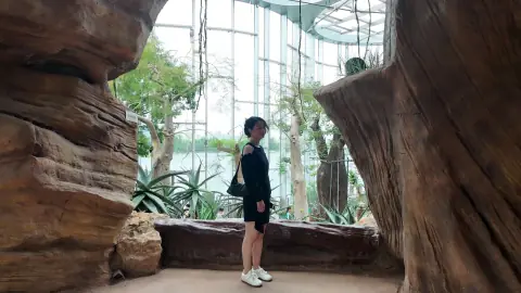 巨石与温室植物旁的人像