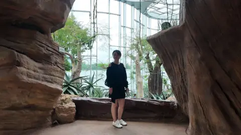 巨石与温室植物旁的人像