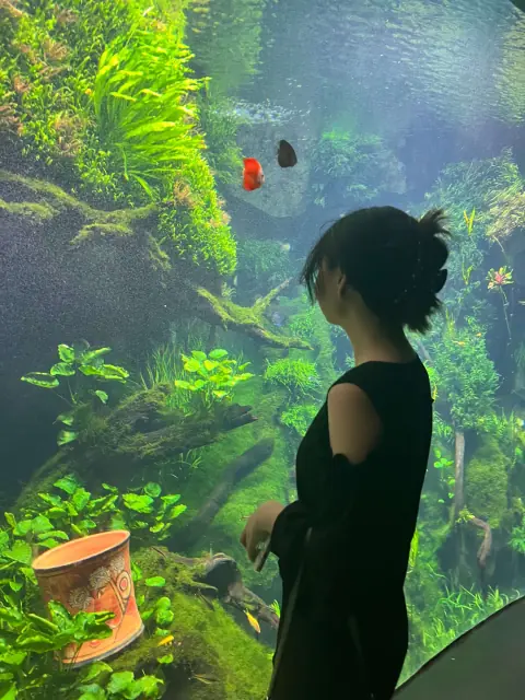 水草景观与观赏鱼前的人像