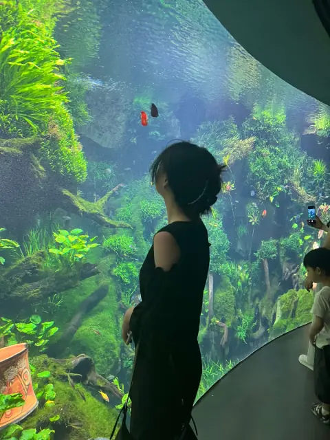 水草景观与观赏鱼前的人像