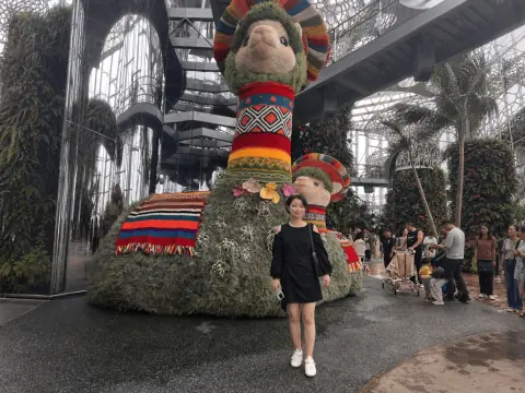 彩色植物装置前的人像