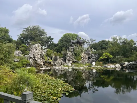 申园池畔的湖石与睡莲近景
